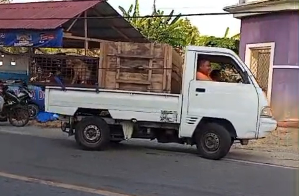 : Mobil pengangkut anjing yang dikembalikan ke daerah asal. (Foto: mcgorontaloprov/ Hariman)
