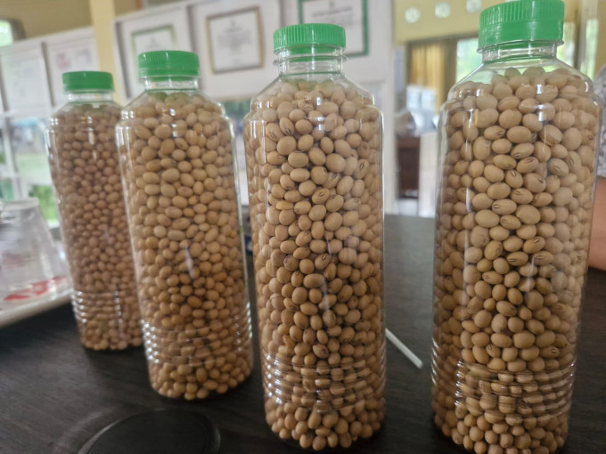 Tim Peneliti UGM Tengah Kembangkan Produksi Benih Kedelai Lokal