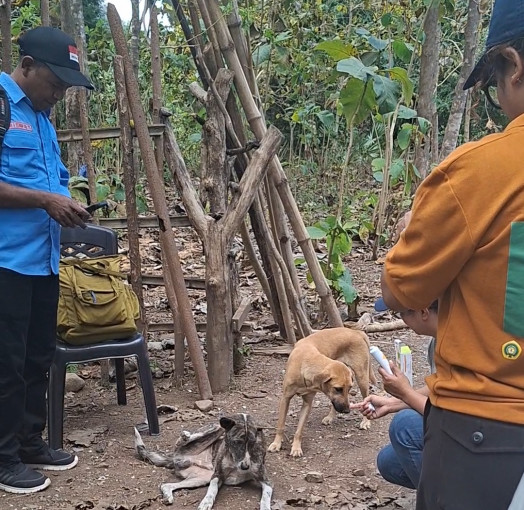 UGM dan 3 Kampus Kolaborasi Hadirkan Air Bersih dan Penguatan Kesehatan Hewan di NTT