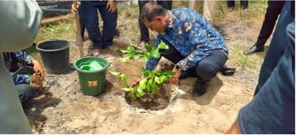 : Penanaman perdana dilakukan di kompleks Dayah Raudhatul Ma’aarif, Gampong Pante Lhong. Kegiatan tersebut diwakili Sekretaris Daerah Bireuen, Ismunandar, atas nama Bupati Bireuen Mukhlis, Senin (7/9/2026). - Foto: Mc.Bireuen