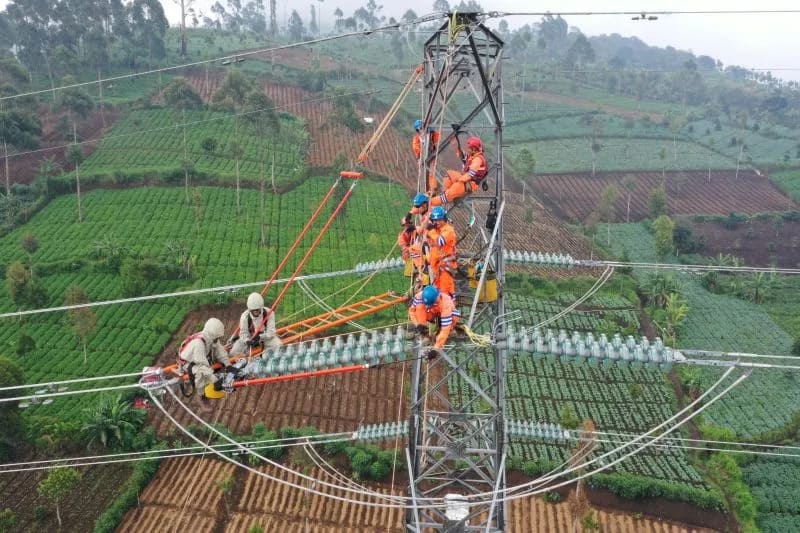 : Ilustrasi. Pemeliharaan jaringan transmisi oleh petugas PLN sebagai bagian dari upaya menjaga keandalan dan kestabilan Sistem Sulbagsel. ANTARA/HO-Humas PLN