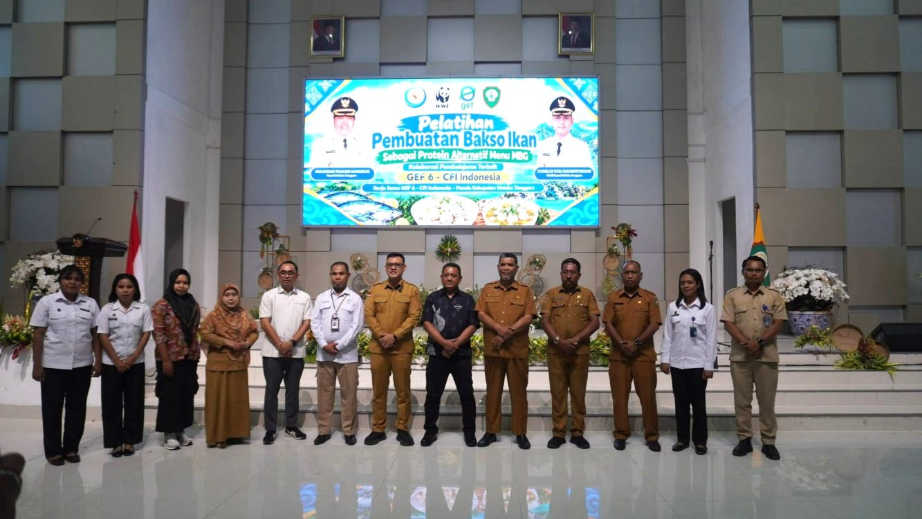 : Pelatihan Pembuatan Bakso Ikan sebagai Protein Alternatif Program Makan Bergizi Gratis (MBG). Foto:Sakti Rumra