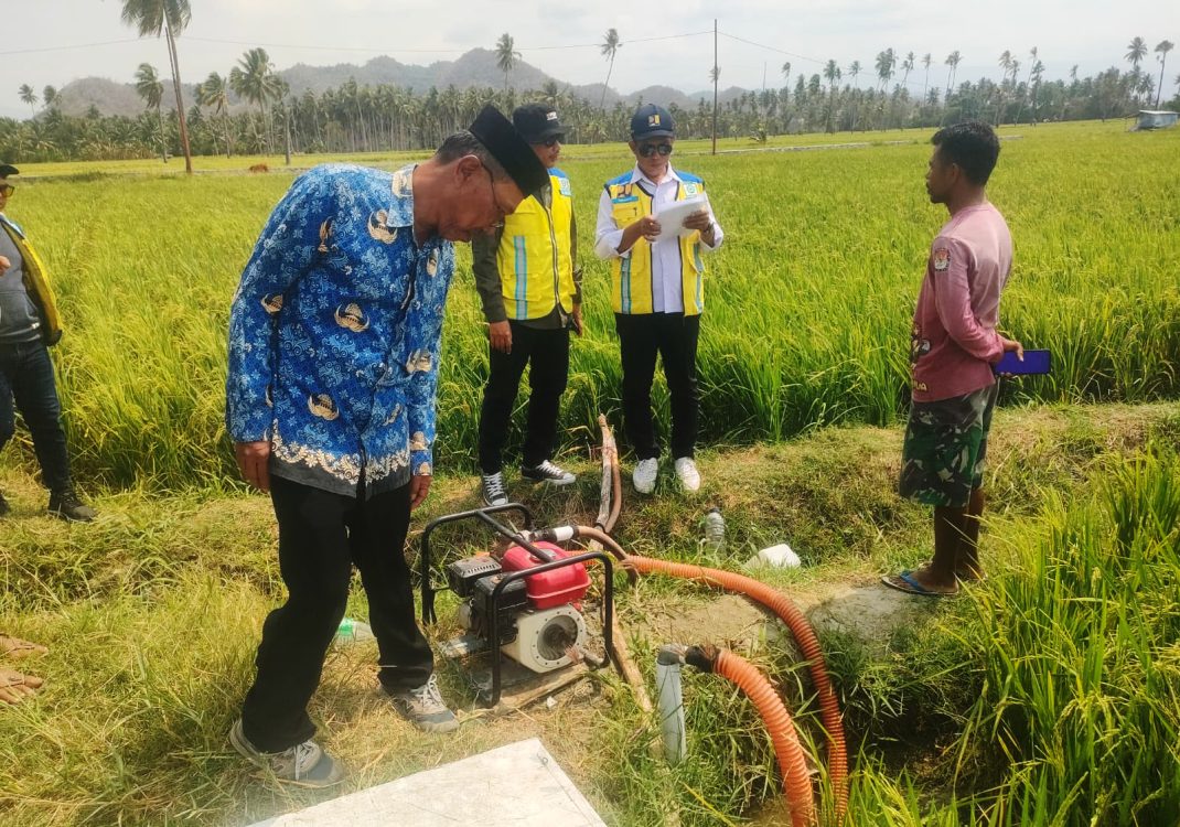 : Balai Perlindungan Tanaman Pertanian (Balintan) Provinsi Gorontalo dan instansi lain melakukan intervensi menyelamatkan puluhan ha lahan padi yang terancam kekeringan. (foto Oman)