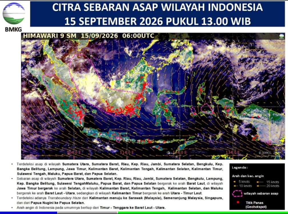 : Istimewa
