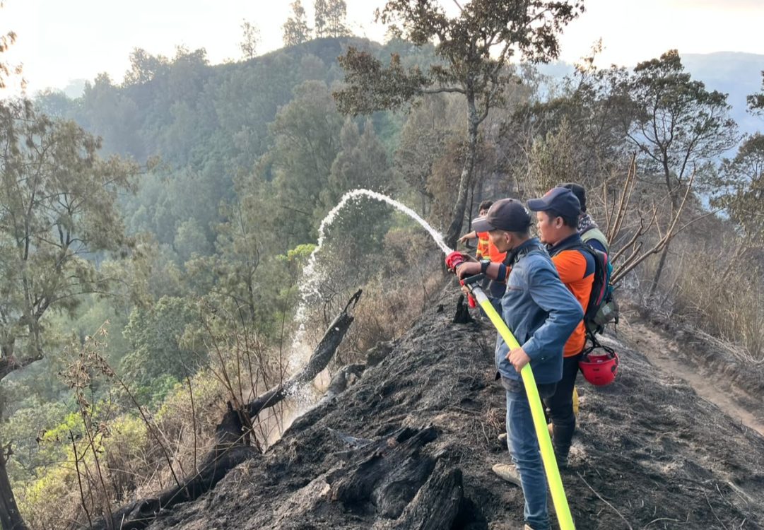 : Tim gabungan melakukan pemadaman dan pembasahan karhutla di kawasan Gunung Bromo, Jawa Timur, Minggu (13/9/2026). (Dok. BPBD Jawa Timur)