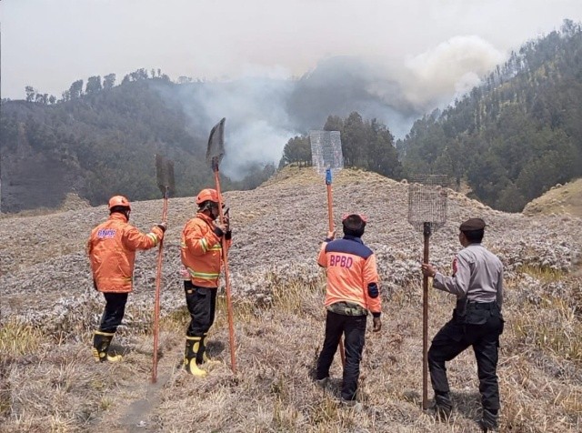: Setelah sempat padam usai mengalami kebakaran hebat Agustus lalu, kawasan Gunung Bromo kini terbakar lagi. Kebakaran terjadi Kamis sore (10/9/2026), sekitar pukul 16.00 WIB. - Foto: Mc.Jatim