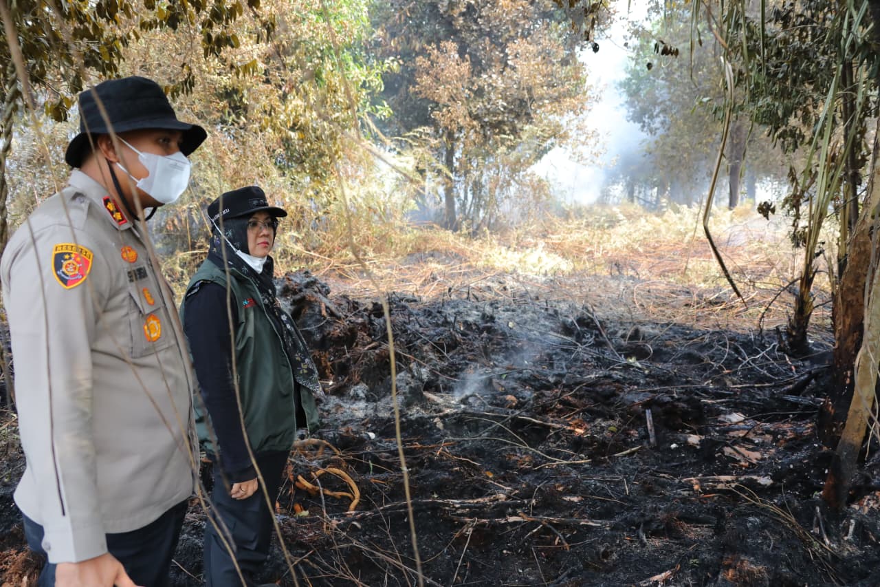 : Bupati Siak, Afni Z saat meninjau Karhutla di Kecamatan Dayun, Siak/ (Agi MC Siak)