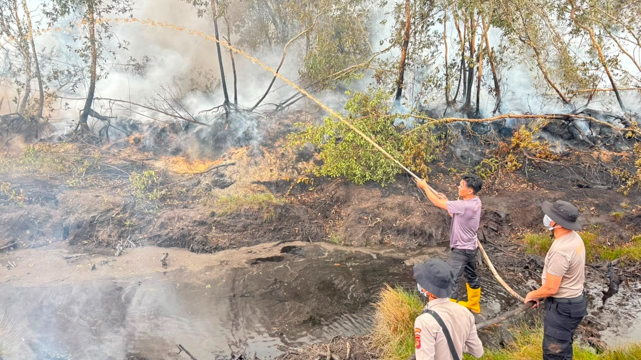 Cegah Api Meluas, Polda Sumsel Intensifkan Penanganan Karhutla di Teluk Limau