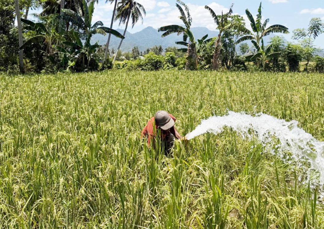 : Penerapan irigasi perpompaan menjadi salah satu alternatif untuk mengantisipasi kekurangan air pada lahan persawahan. (foto Oman)