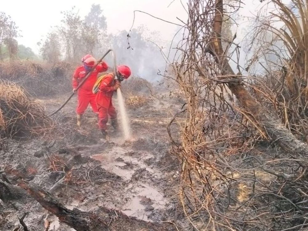 : Kementerian Kehutanan bersama BNPB tetap memperkuat operasi pengendalian di Kalimantan Tengah, termasuk melalui evaluasi langsung di Camp Peat Tumbang Nusa dan penguatan penegakan hukum terhadap pemegang konsesi yang dinilai melanggar kewajiban pengendalian karhutla. (Foto: Humas Kemenhut)