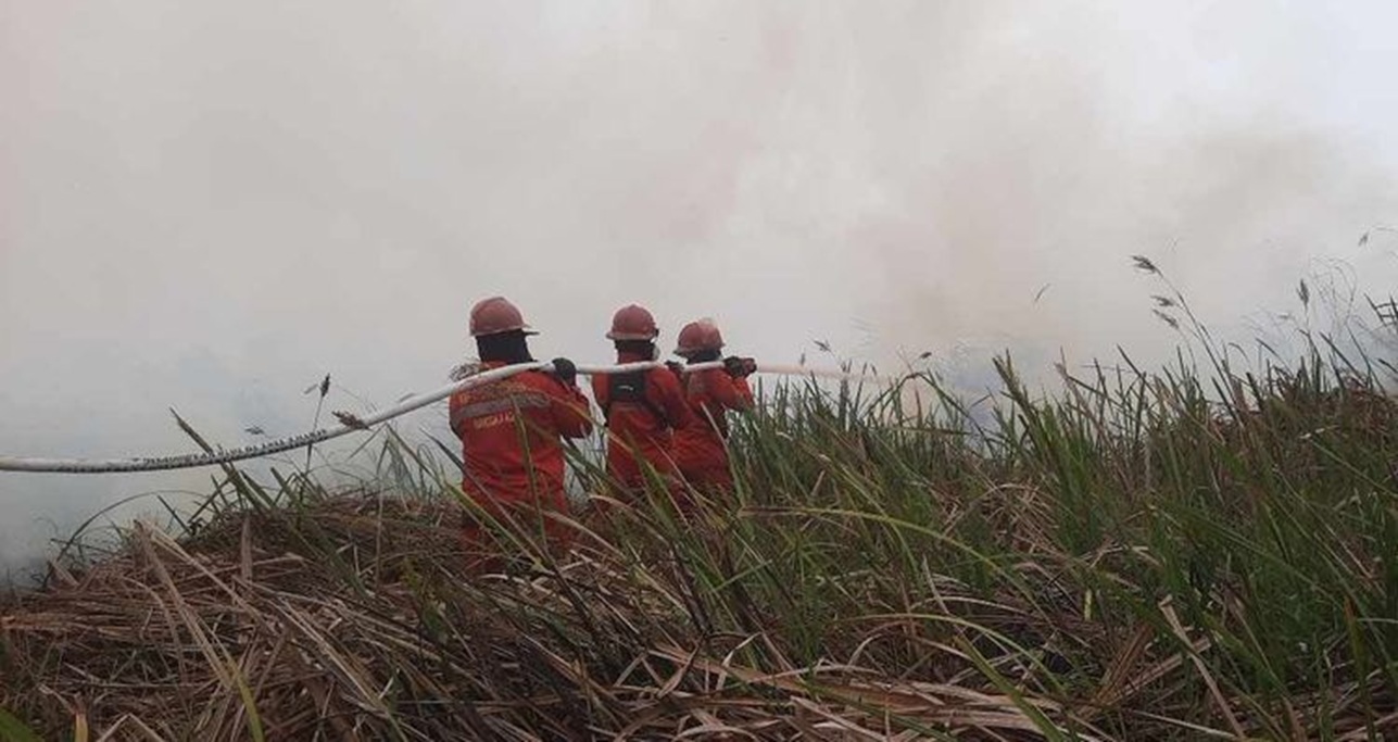 : Berdasarkan pemantauan Kemenhut hingga Rabu malam (16/9/2026), terdeteksi 479 hotspot high confidence, turun sebanyak 558 titik dibandingkan sehari sebelumnya. (Foto: Humas Kemenhut)