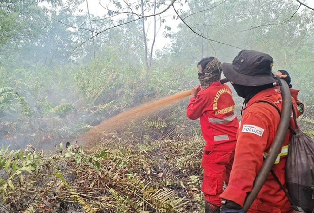 : Kementerian Kehutanan bersama tim gabungan terus memperkuat pengendalian kebakaran hutan dan lahan (karhutla). (Foto: Humas Kemenhut)