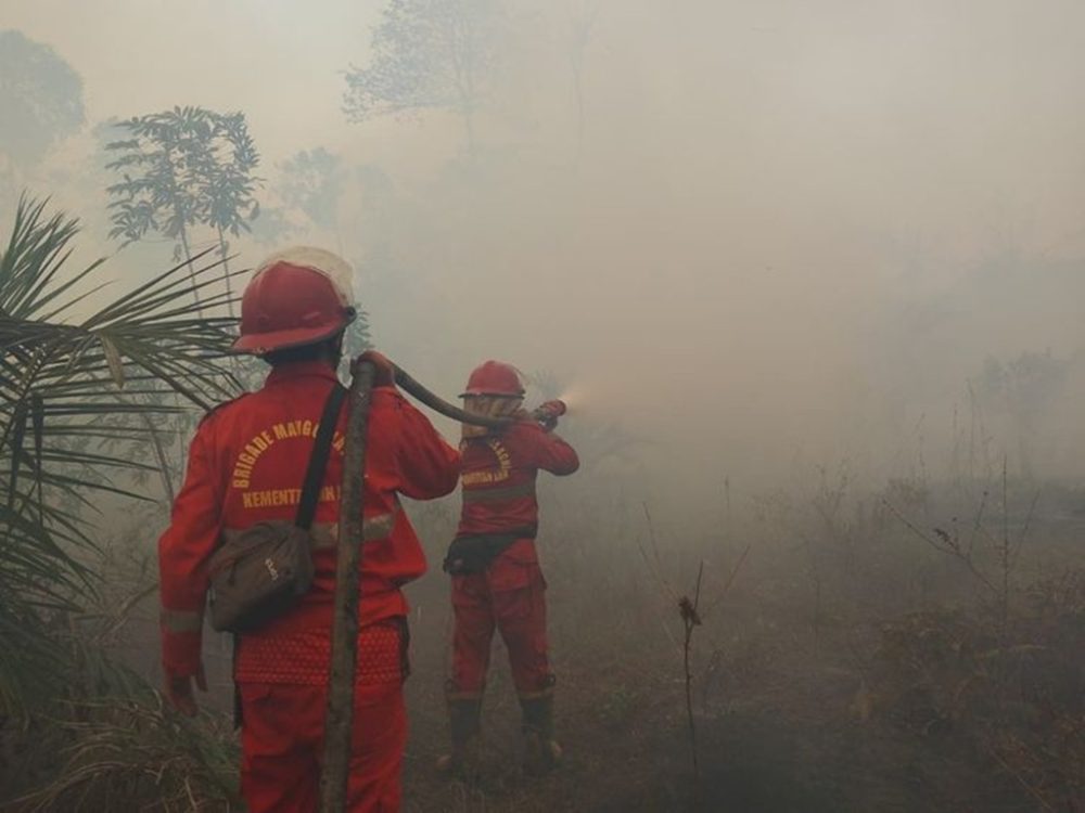 : Kementerian Kehutanan bersama tim gabungan terus memperkuat pengendalian kebakaran hutan dan lahan (karhutla) di enam provinsi prioritas. (Foto: Humas Kemenhut)