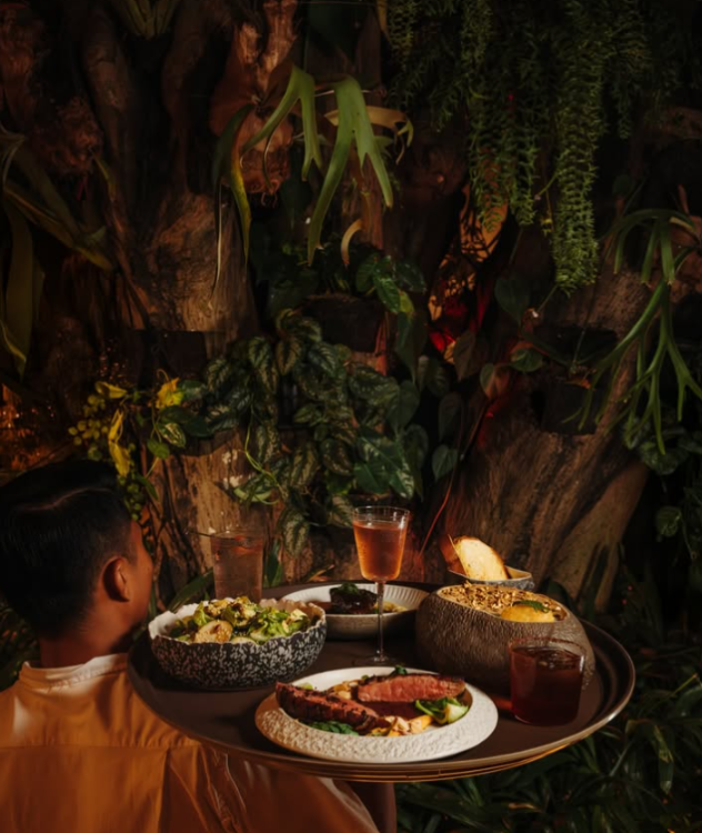 The cotton three trunk in the interior of Lava Gastrobar Sanur