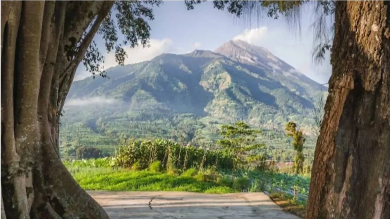 Wisata Bukit Cilenguk di Boyolali