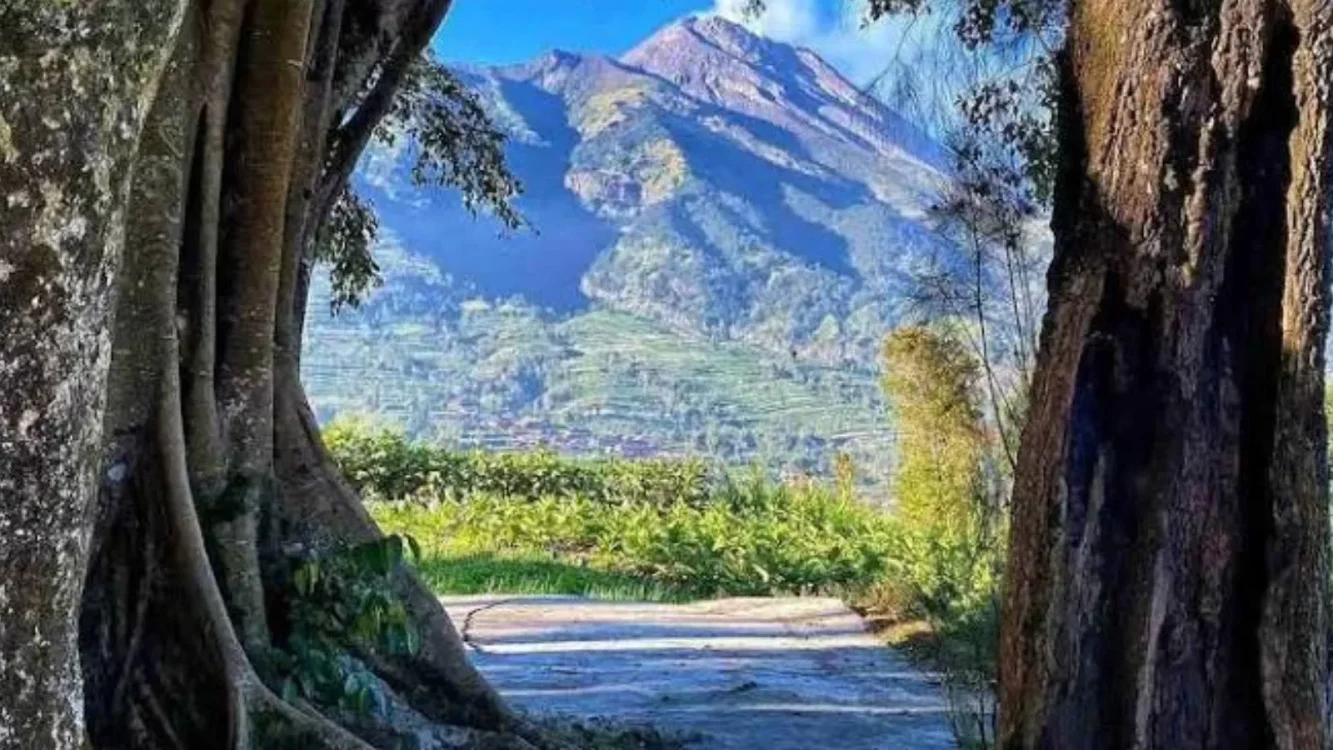 Bukit Cilenguk Punya View Merapi