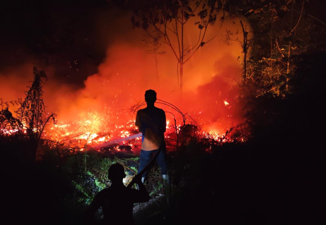 : Petugas melakukan upaya pemadaman lahan seluas 55 hektare yang terbakar di wilayah Kabupaten Bulungan, Kalimantan Utara, pada Minggu (30/8/2026)/ (Dok. BPBD Bulungan).