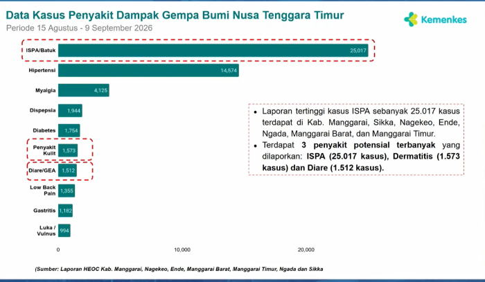 : Data Kasus Penyakit Dampak Gempa Bumi Nusa Tenggara Timur. (Sumber: Kemenkes)