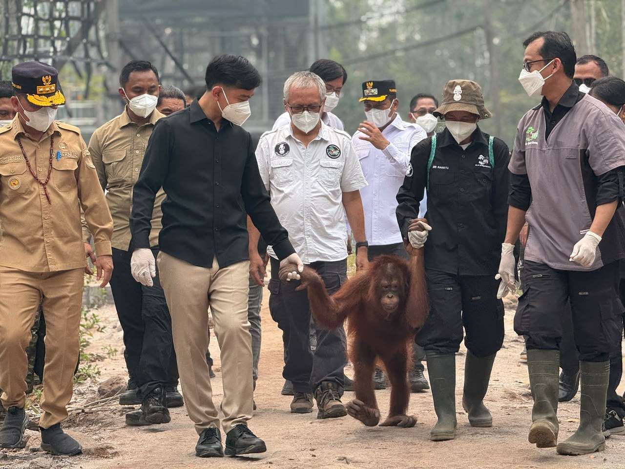 : Wapres Gibran Rakabuming didampingi Gubernur Kalimantan Tengah Agustiar Sabran, Kamis (10/9/2026) meninjau, langsung Pusat Rehabilitasi Orangutan Nyaru Menteng (Foto: BPMI Setwapres)