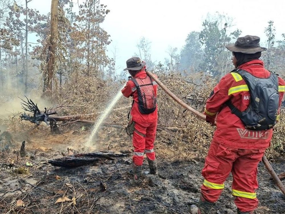 : ilustrasi pemadaman karhutla oleh Manggala Agni Kemenhut. (Foto: Humas Kemenhut)