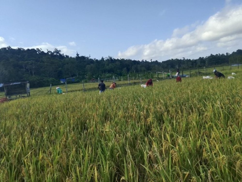 : Kementerian Pekerjaan Umum (PU) terus memperkuat infrastruktur sumber daya air guna memastikan kebutuhan air bagi masyarakat tetap terpenuhi ditengah ancaman ekekringan. (Foto: Humas KemenPU)