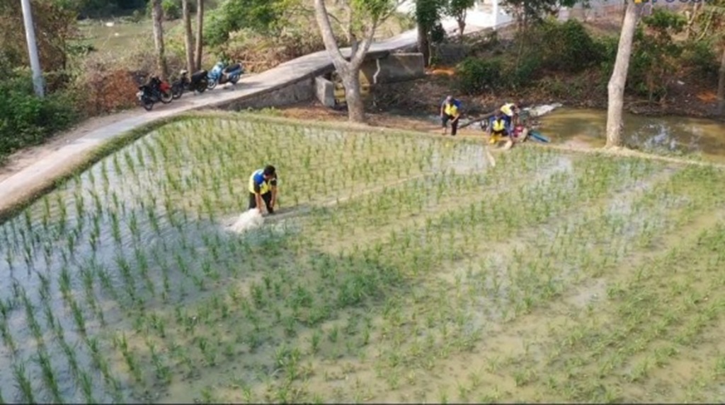 : Sebanyak 10 unit pompa berkapasitas 5,5 HP diterjunkan untuk membantu mengairi 300 hektare sawah di Desa Sindangsari, Kecamatan Kutawaluya yang sebelumnya mengalami kekurangan pasokan air.. (foto: Humas Kemen PU)