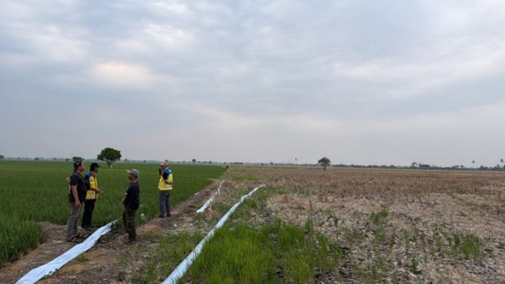: Air dari SP Kiwing mulai dialirkan melalui tiga jalur selang menuju sawah yang membutuhkan pasokan untuk mendukung kegiatan tanam. (Foto: Humas KemenPU)