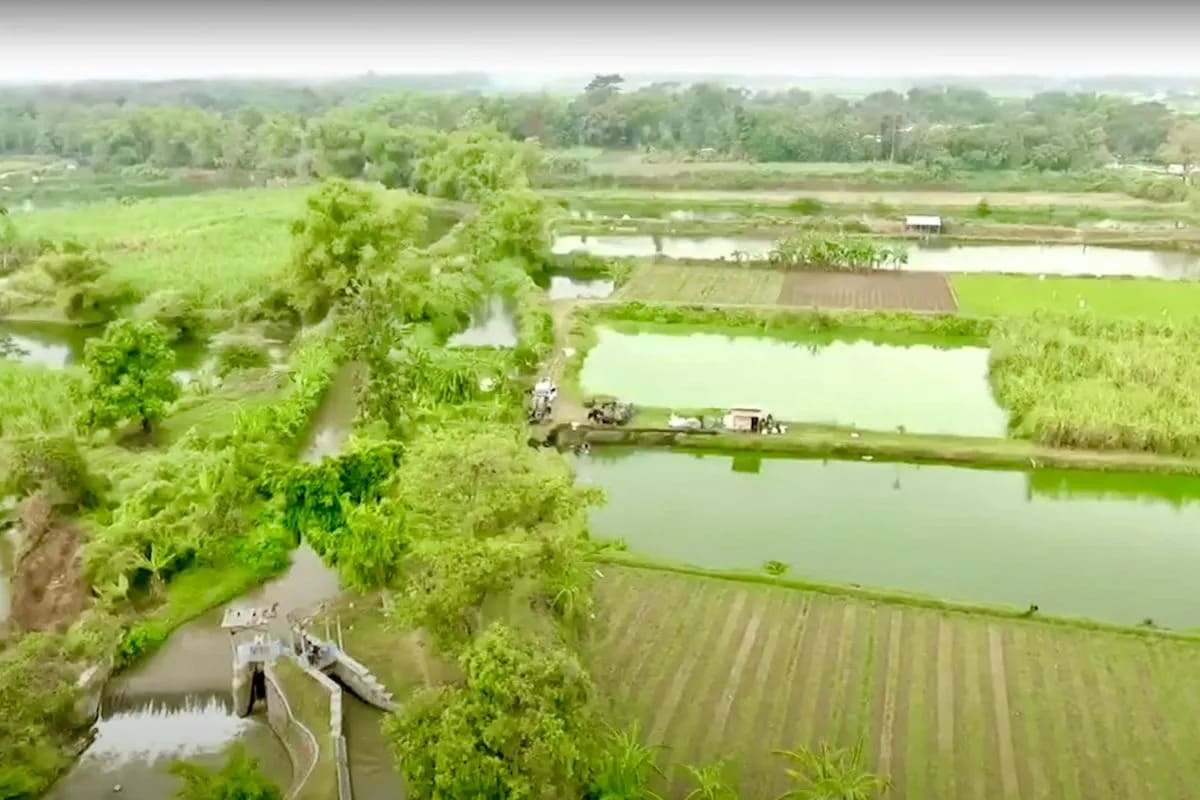 : Kondisi Desa Rejoagung, Kabupaten Jombang, Jawa Timur, pascamendapat program Reforma Agraria. (ANTARA/HO-Biro Hubungan Masyarakat dan Protokol Kementerian Agraria dan Tata Ruang/ Badan Pertanahan Nasional)