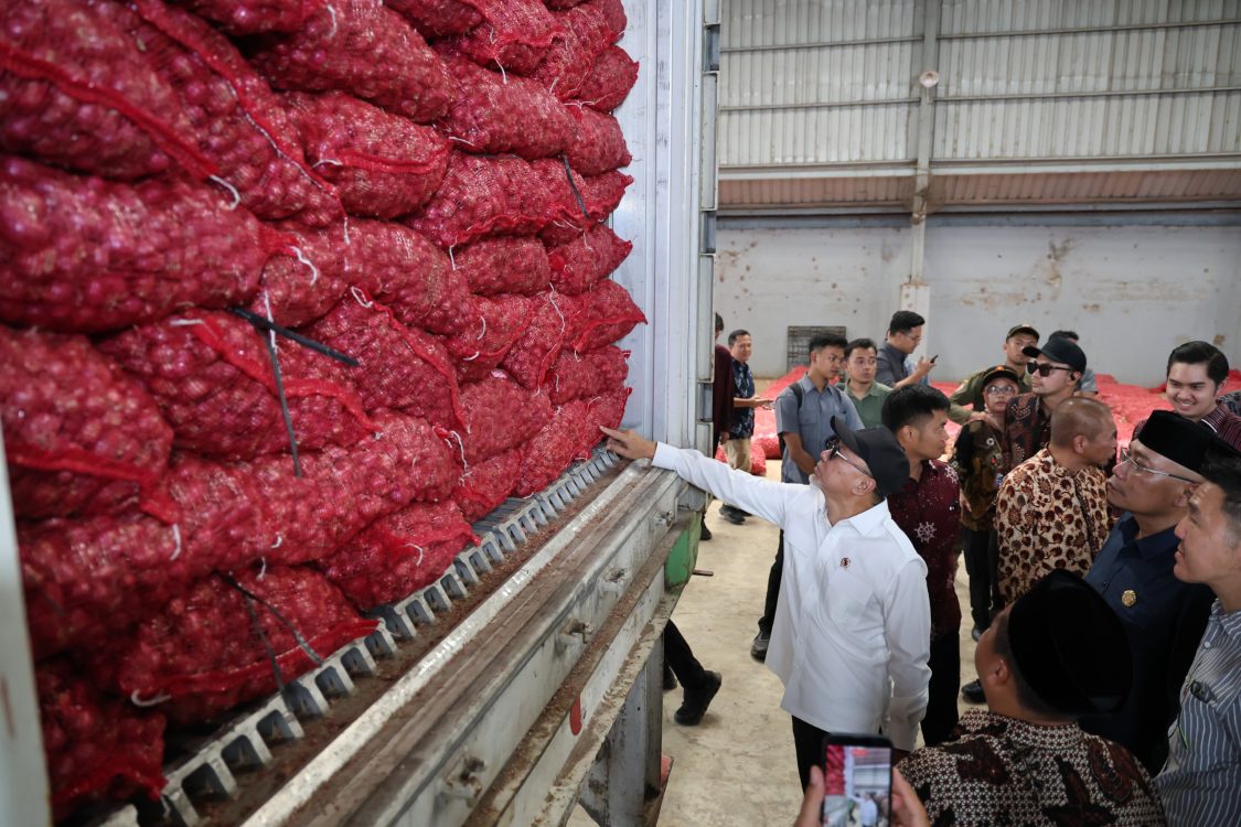 : Produksi bawang merah nasional semakin kuat. Setelah kebutuhan dalam negeri terpenuhi, Indonesia mulai memperluas pasar ke luar negeri. Menteri Koordinator Bidang Pangan Zulkifli Hasan melepas ekspor bawang merah Brebes ke Thailand dari fasilitas Controlled Atmosphere Storage (CAS), Sabtu (12/9/2026). (Dok. Kemenko Pangan)