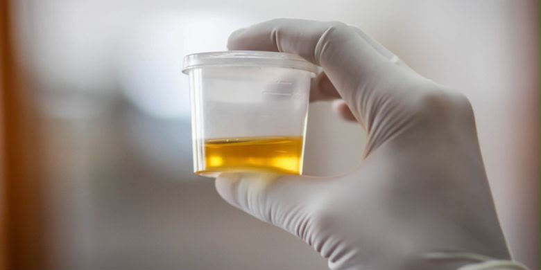 Minum Urine untuk Bertahan Hidup di Laut, Berbahayakah?