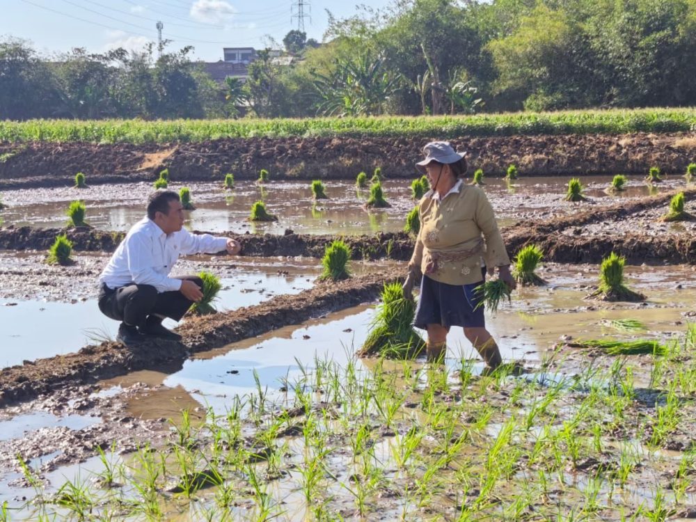 : Mentan Andi Amran Sulaiman saat berdialog dengan seorang petani di pematang sawah. (Dok. Kementan)