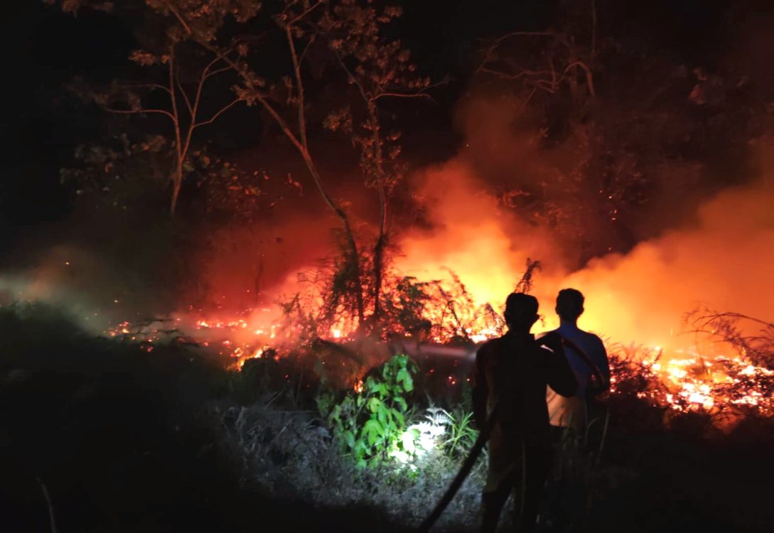 : Ilustrasi: Petugas melakukan upaya pemadaman lahan seluas 55 hektare yang terbakar di wilayah Kabupaten Bulungan, Kalimantan Utara, pada Minggu (30/8/2026). (Dok. BPBD Bulungan).
