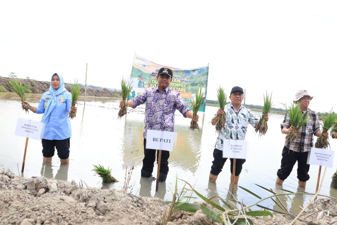 : Bupati Serdang Bedagai, Darma Wijaya menghadiri kegiatan Gerakan Tanam Serempak 50.000 Hektare Sawah yang digelar Kementerian Pertanian Republik Indonesia (RI), bertempat di Desa Tebing Tinggi, Kecamatan Tanjung Beringin, Jumat (18/9/2026)/ MC Sergai.