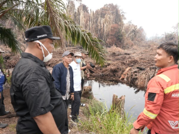 : Plh Bupati Siak Syamsurizal meninjau Karhutla di Dayun, Rabu (9/9/2026)/ (Doli/MC Siak).