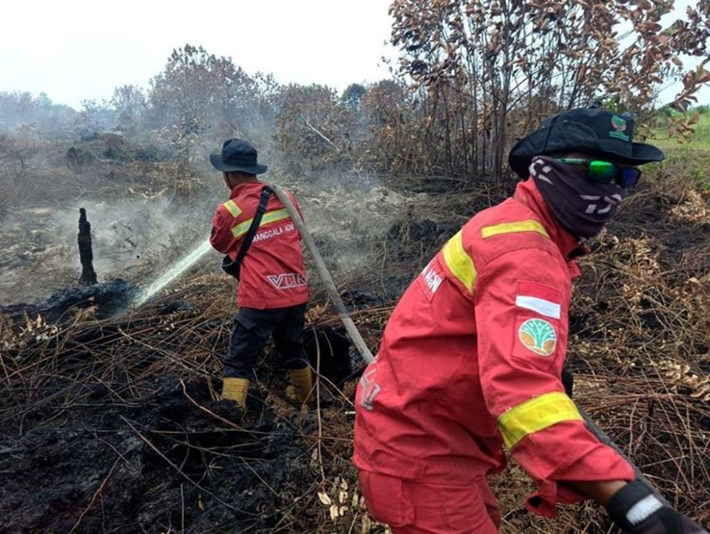 : Kementerian Kehutanan bersama tim gabungan terus memperkuat pengendalian kebakaran hutan dan lahan (karhutla), terutama pada wilayah yang masih menunjukkan konsentrasi hotspot tinggi. (Foto: Humas Kemenhut)