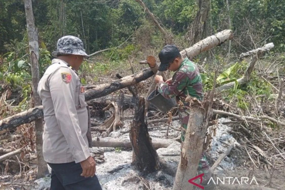 Polda Kaltim Tangani 34 Perkara Karhutla, Sembilan Orang Jadi Tersangka