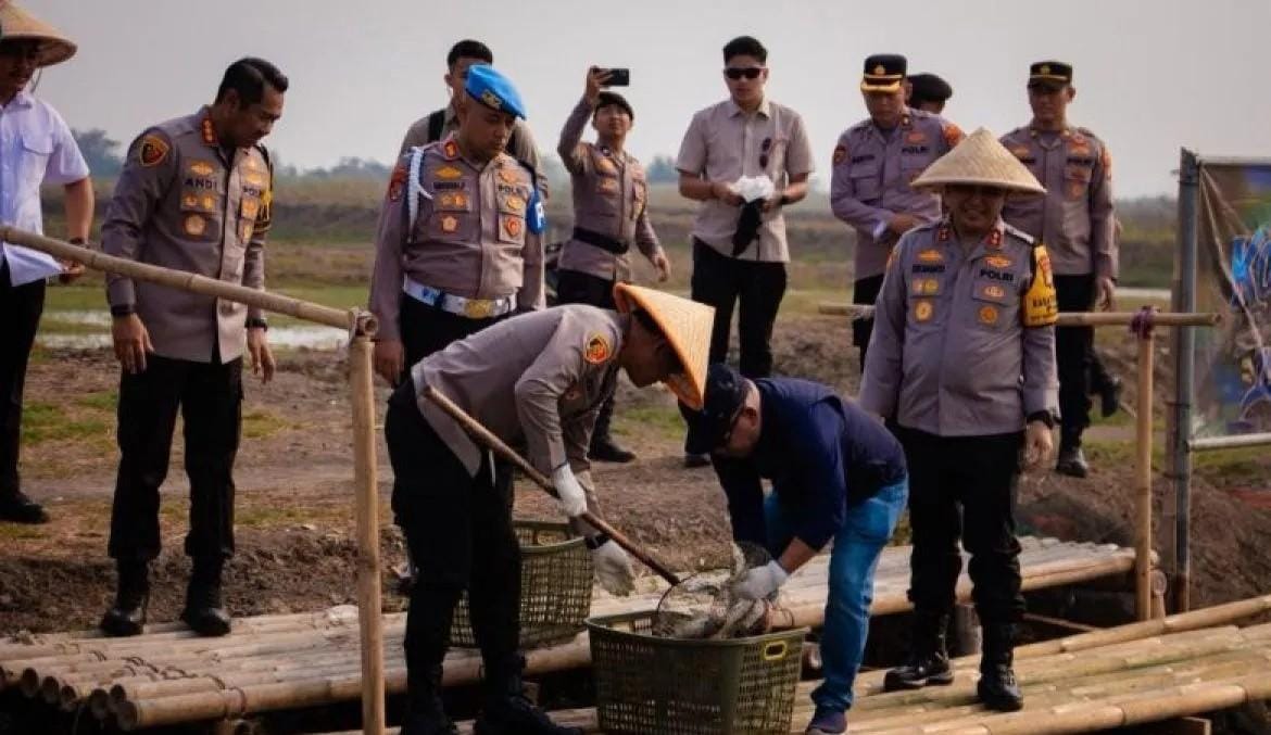 Polda Metro Jaya Panen 10 Ton Ikan di Bekasi, Hasilnya Dukung Pasokan SPPG