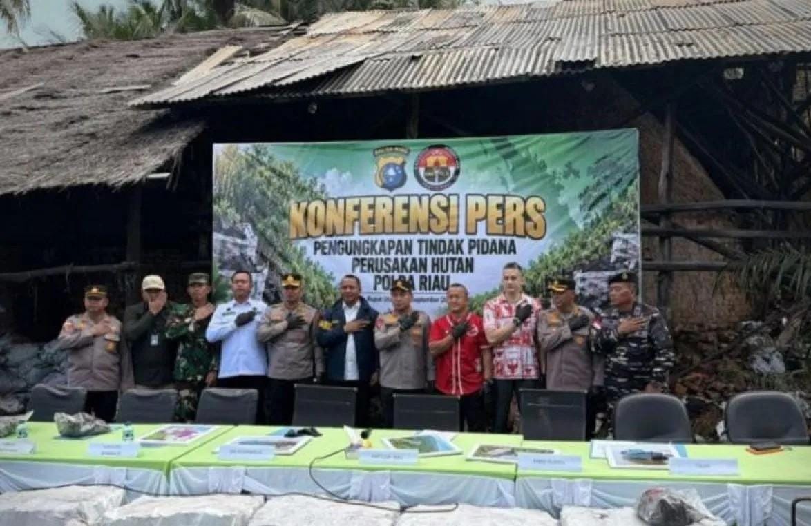 Polda Riau Ungkap Pengiriman 140 Ton Arang Bakau ke Malaysia