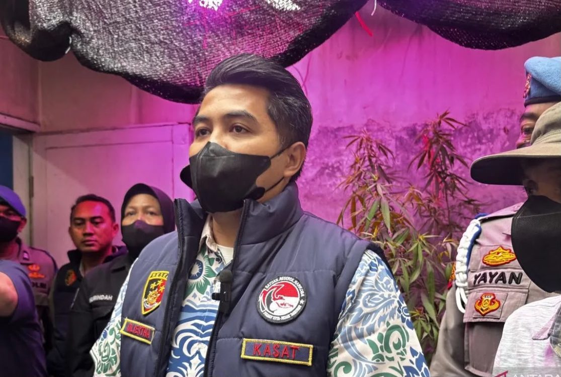Polisi Bongkar Budidaya Ganja Milik Oknum PPPK di Bandung