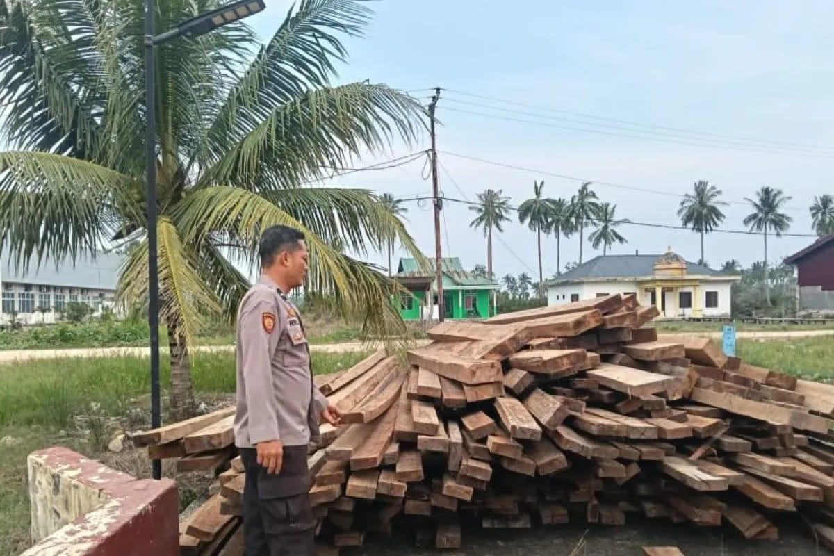 Polisi Bongkar Dugaan Peredaran Kayu Ilegal di Rohil, 10 Ton Barang Bukti Diamankan