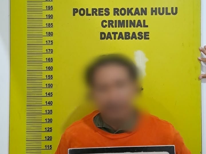 Polisi Tangkap Kasus Karhutla 4 Hektare di Rokan Hulu, Satu Orang Jadi Tersangka