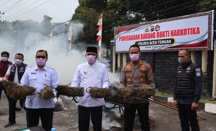 Polres Aceh Tengah Musnahkan 101,9 Kilogram Ganja, Kapolres Tegaskan Bandar Narkoba Jangan Coba Bermain di Takengon