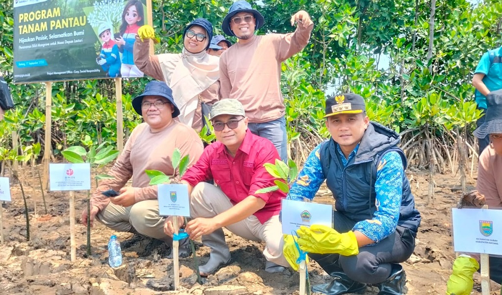 : Kepala DLH Batang Rusmanto (baju merah), melakukan penanaman bibit mangrove di Pantai Kuripan, Kecamatan Subah, Kabupaten Batang.