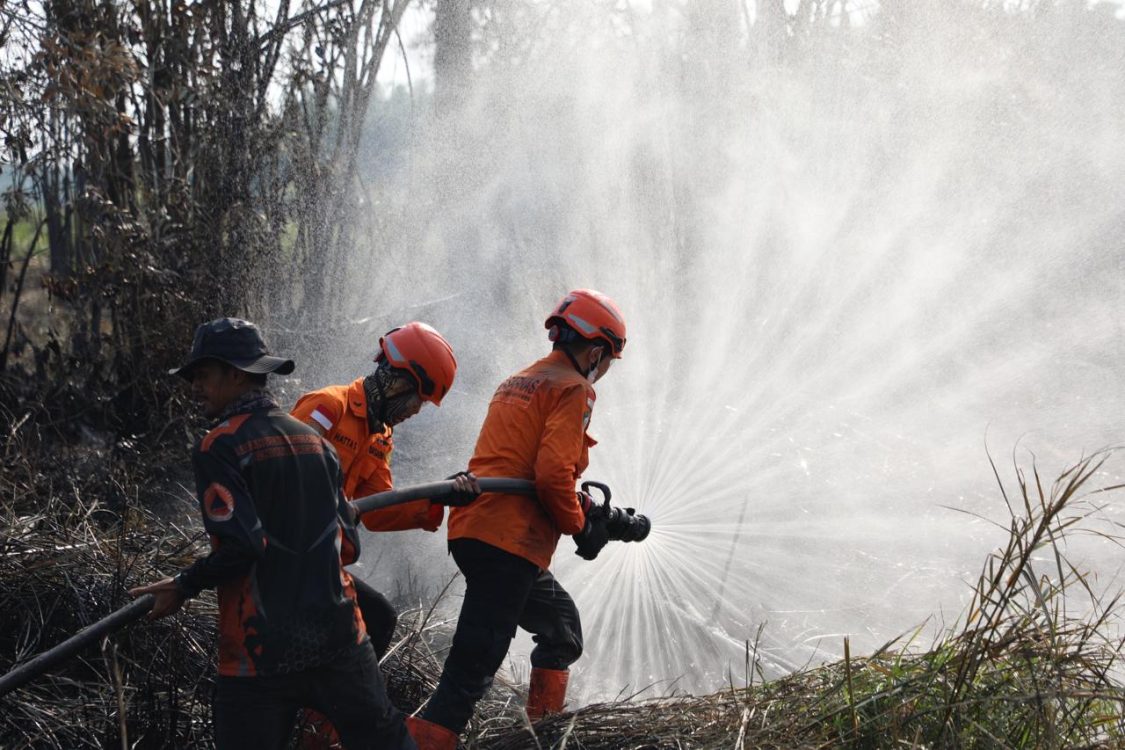 : Tim satgas darat dari BPBD Provinsi Jambi dan Basarnas melakukan pendinginan lahan di Desa Air Merah, Kecamatan Sungai Gelam, Kabupaten Muaro Jambi, Provinsi Jambi, Kamis (3/9/2026). (Dok. BNPB).