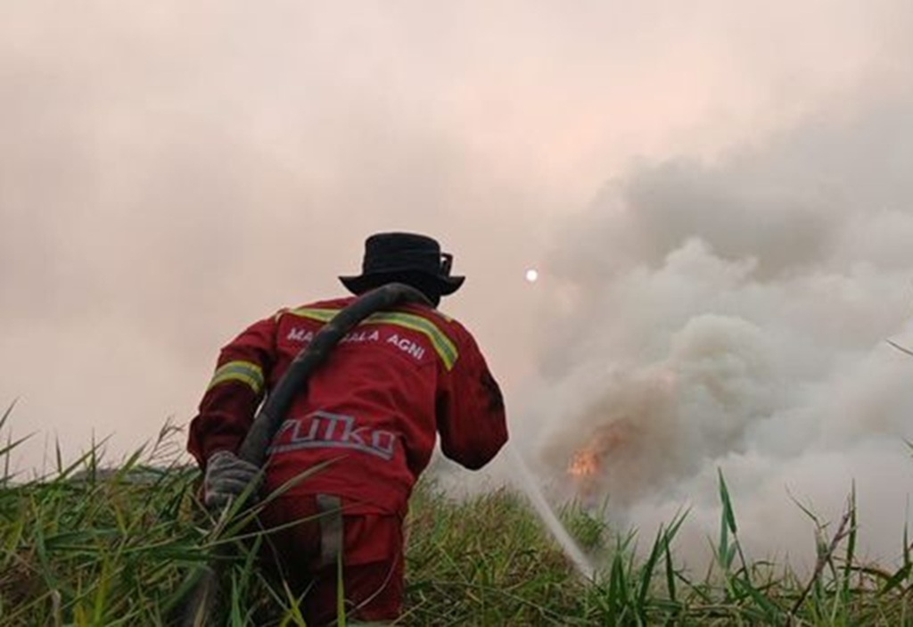 : Pemantauan data sipongi terbaru menunjukkan penurunan cukup signifikan hotspot dengan tingkat kepercayaan tinggi atau high confidence di Kalimantan Tengah dan Kalimantan Barat, sementara Riau tetap nihil hotspot high confidence. (Foto: Humas Kemenhut)