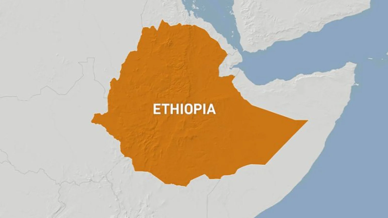 Tujuh Kelompok Bersenjata Ethiopia Bentuk Aliansi, Dorong Pemerintahan Transisi