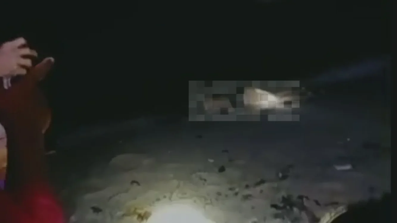 Misteri Penemuan Jasad Perempuan di Pantai Krakal, Ditemukan Warga Saat Mencari Gurita