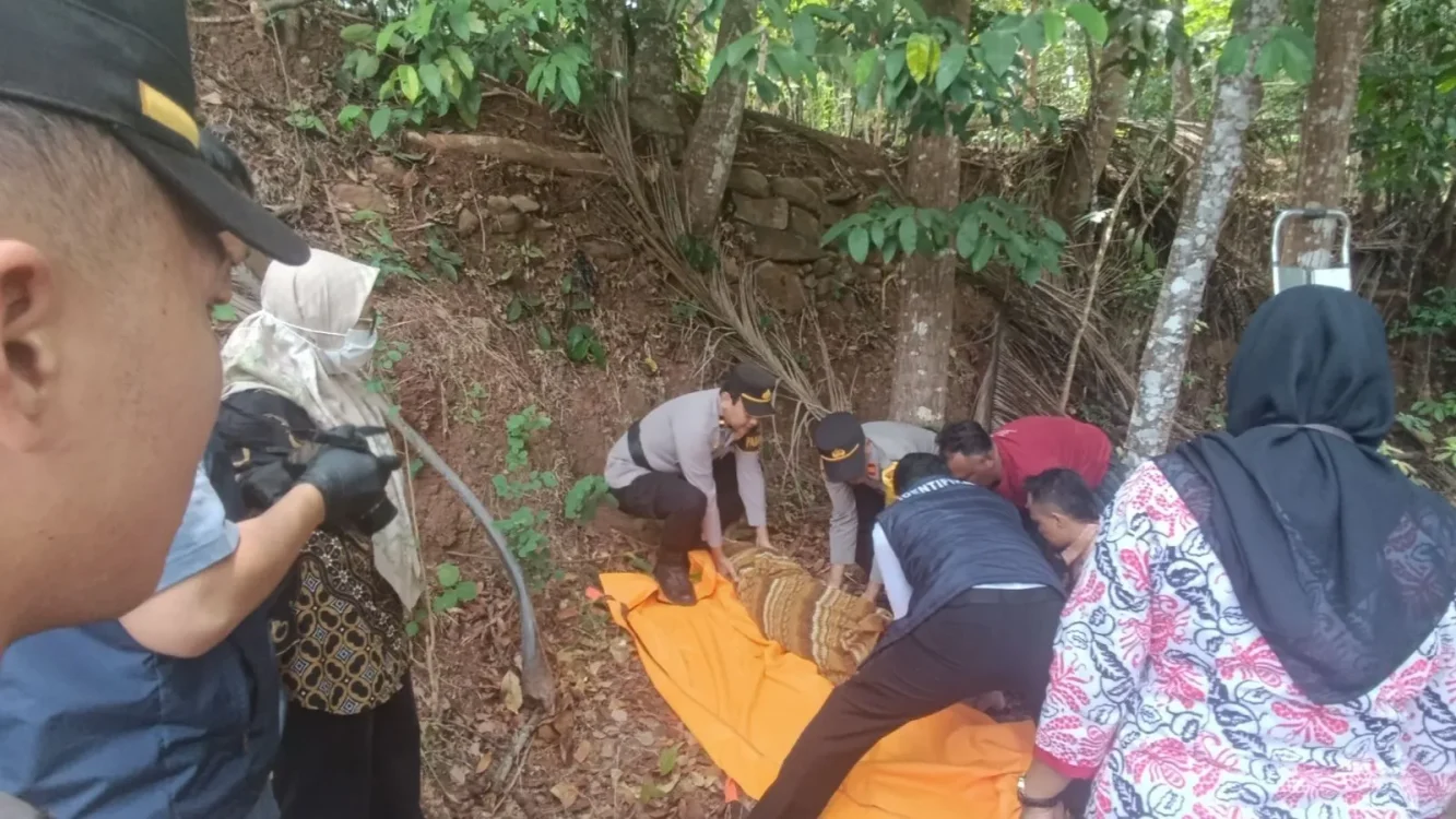 Memetik Kelapa Berujung Maut, Lansia di Bantul Diduga Terjatuh dari Ketinggian 20 Meter