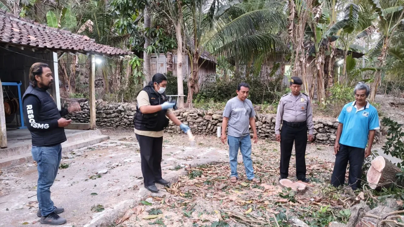 Pria 66 Tahun di Panjatan Kulon Progo Meninggal Dunia Usai Jatuh Saat Petik Sawo