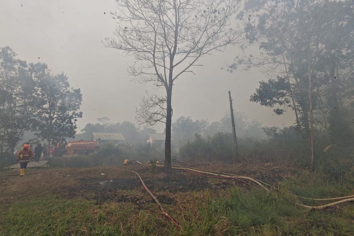 Bareskrim Tetapkan 9 Tersangka Karhutla Korporasi, 223 Orang Dijerat Kasus Perorangan
